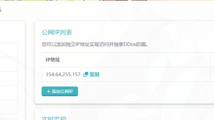 雨云服务器公网IP